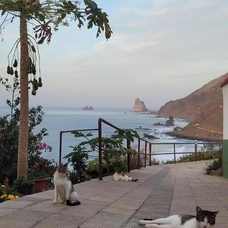 Casa Manolo Paraiso Beach Trail Almaciga Dış mekan fotoğraf