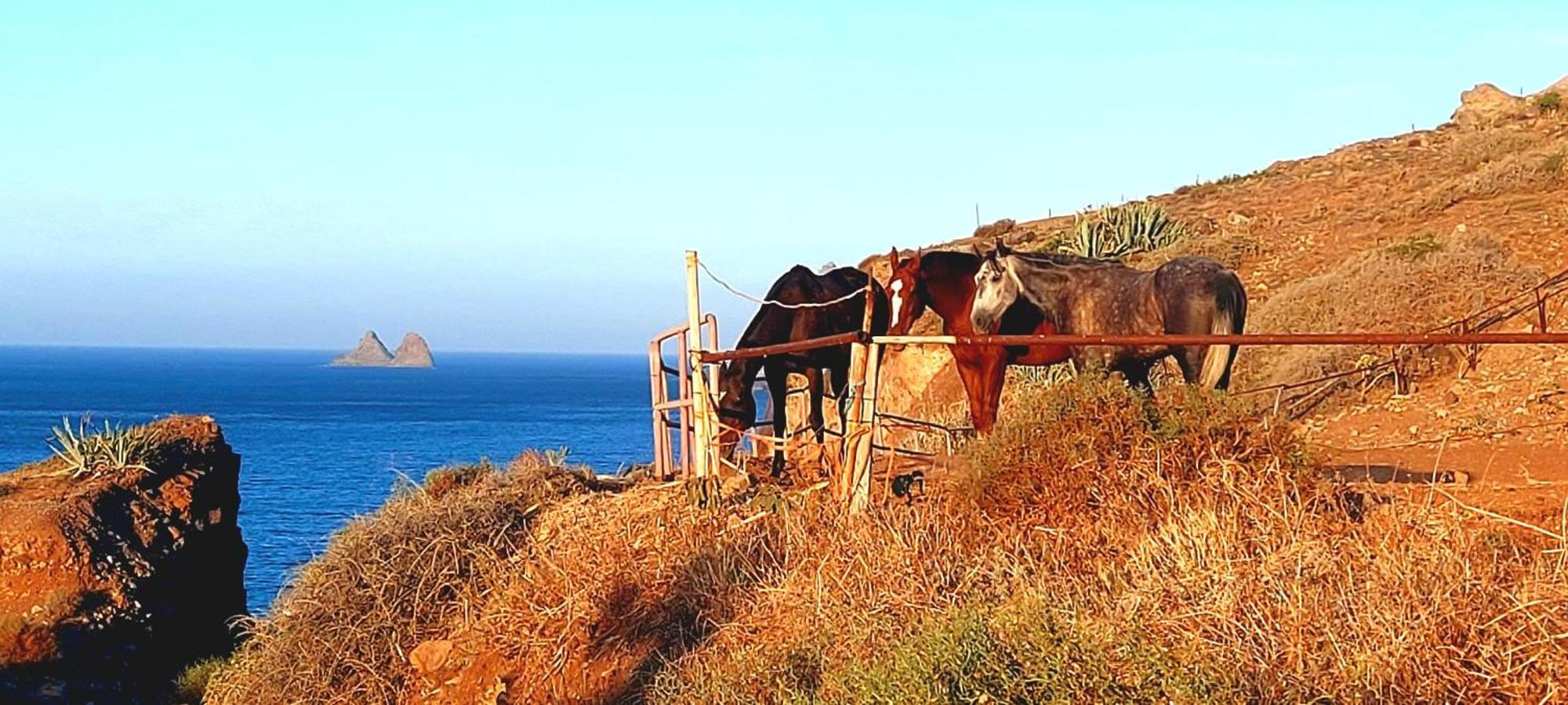 Casa Manolo Paraiso Beach Trail Almaciga Dış mekan fotoğraf
