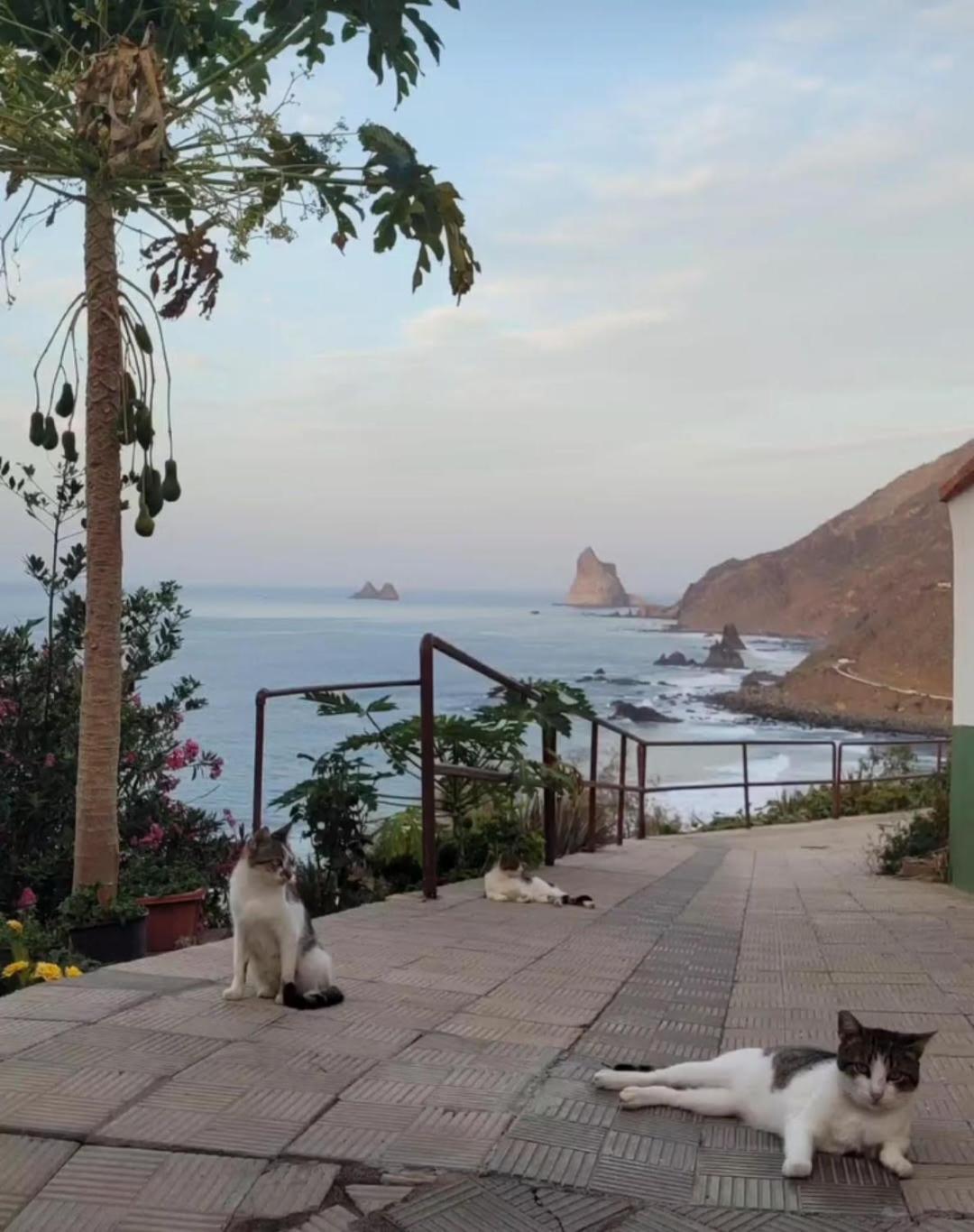 Casa Manolo Paraiso Beach Trail Almaciga Dış mekan fotoğraf